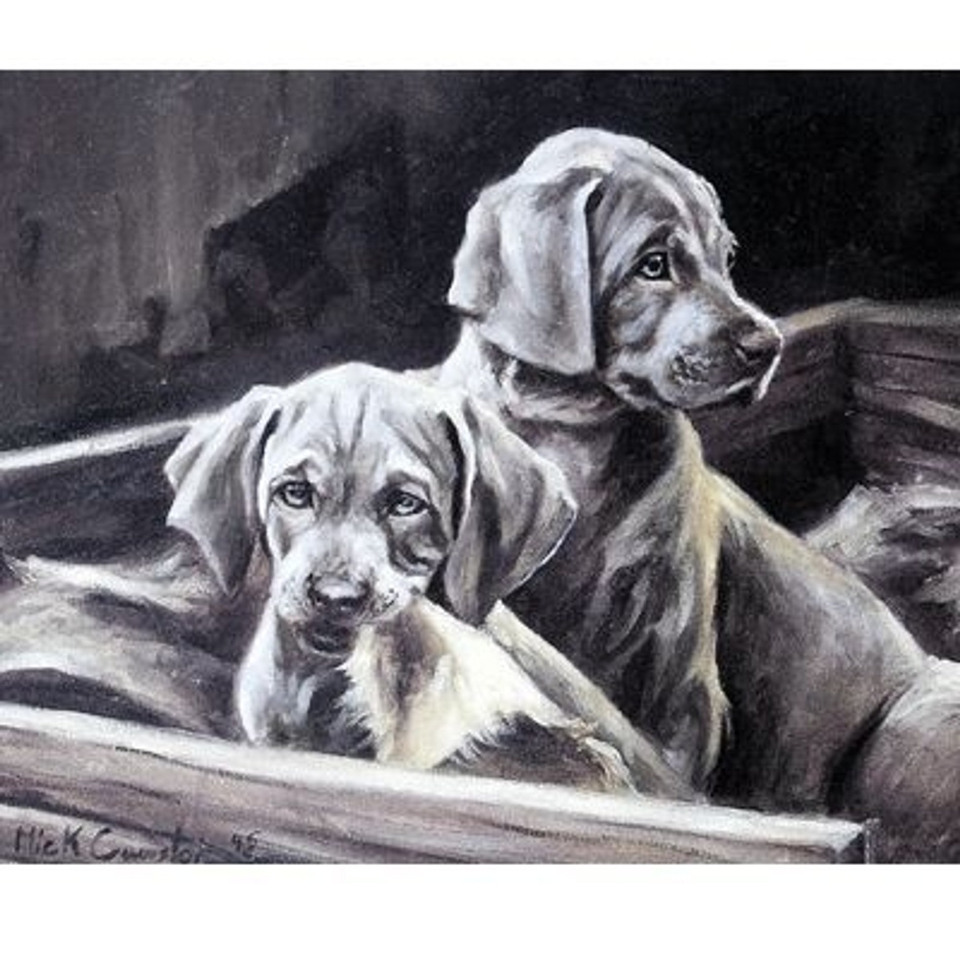 Thats Torn It By Mick Cawston 7.25 x 6