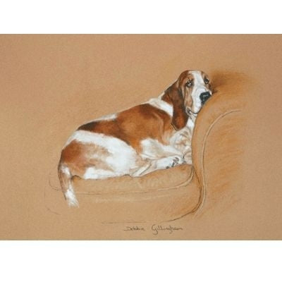 The Comfort Zone By Debbie Gillingham 8 x 5.5