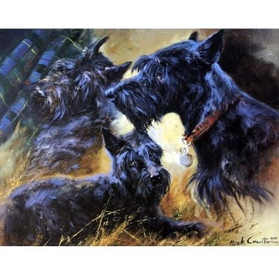 The Scottie By Mick Cawston 13 x 10