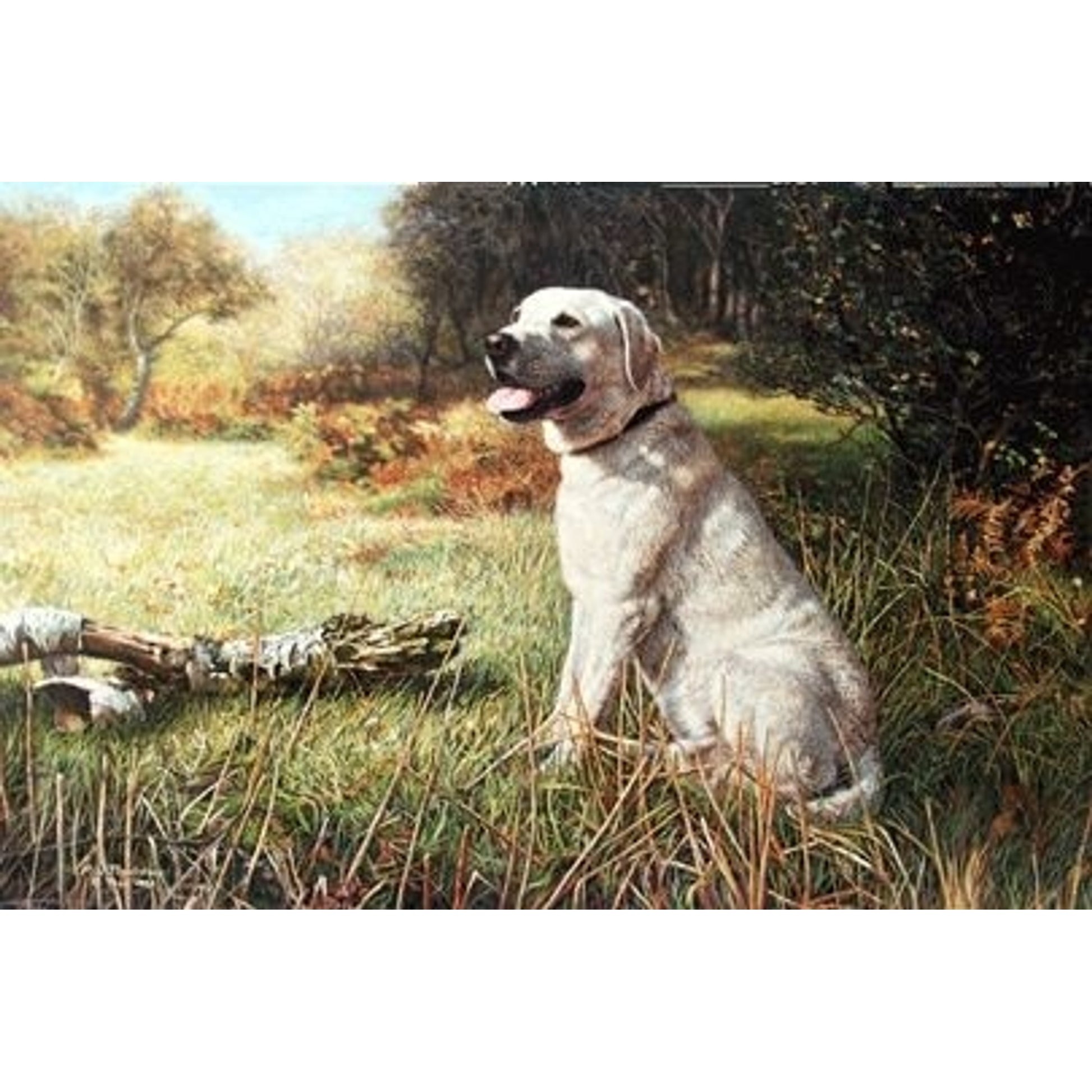 The Yellow Labrador By M. N. Thackstone 19 x 12.5