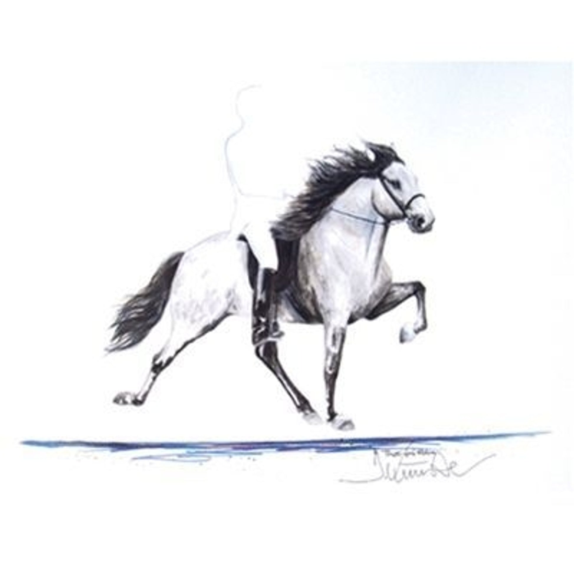 Thotti Icelandic Horse