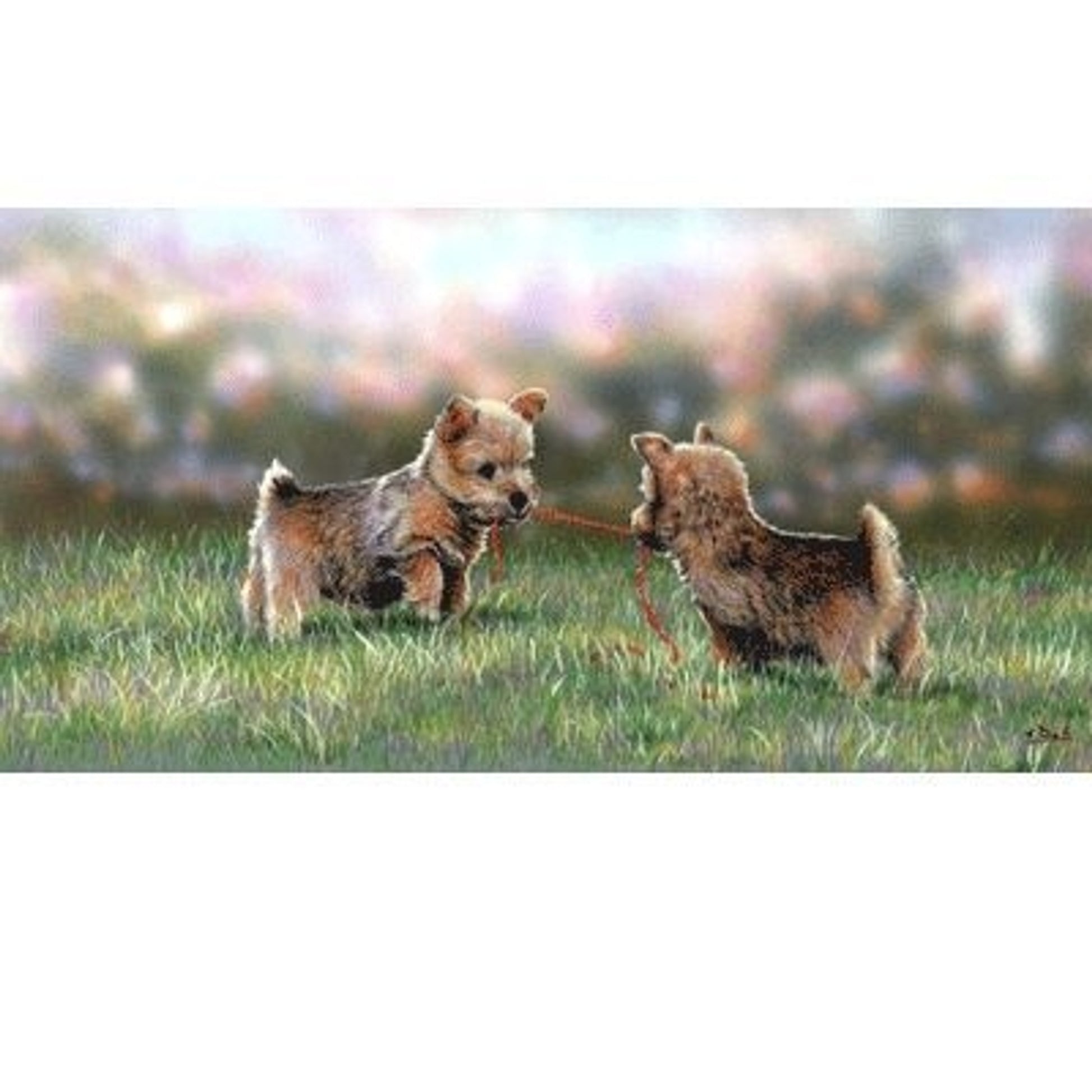 Tug of Love By Paul Doyle 4.75 x 9 1/8