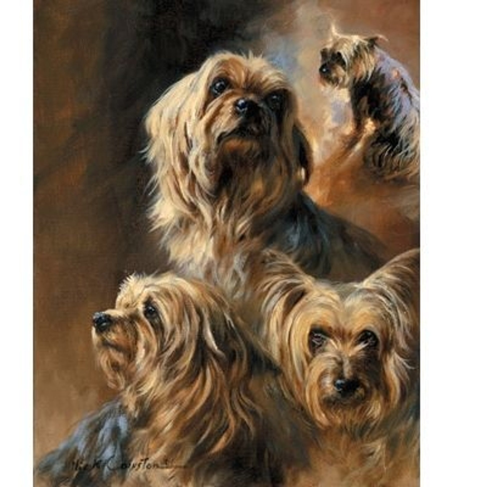 Vanity Fair By Mick Cawston 8 7/8 x 10.75