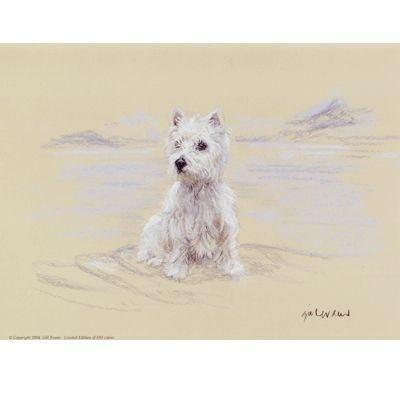 West Highland Sitting By Gill Evans 12.75 x 10.75
