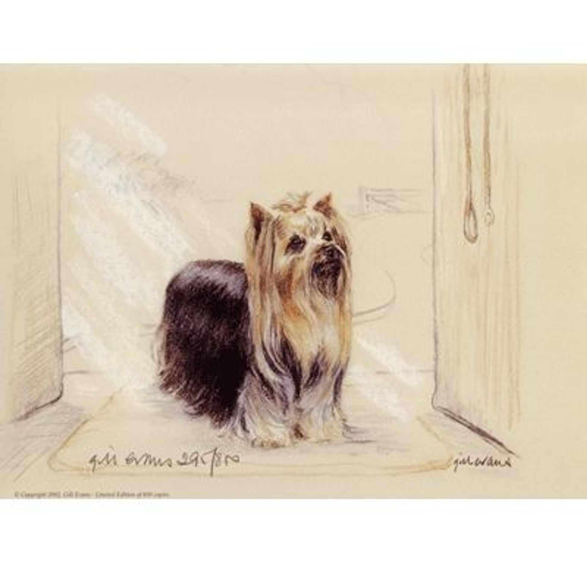 Yorkshire Terrier By Gill Evans Matted 12.75x10.75