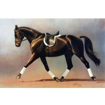 Horses - Ive Got Rythym - 6 Pack 6 Pack