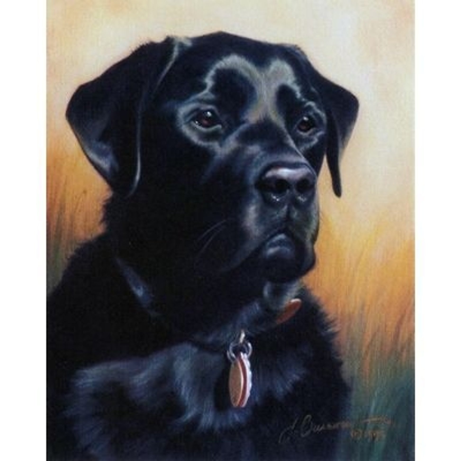 Stalwart Fellow Labrador Retriever 6 Pack