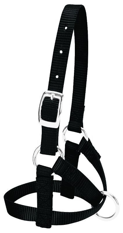 Weaver Leather Alpaca Halter