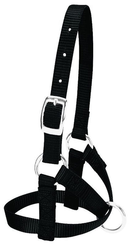Weaver Leather Alpaca Halter