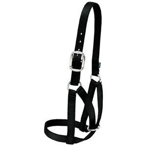 Weaver Leather Barn Cow Halter