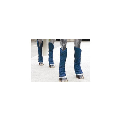 TH895540_P.jpg