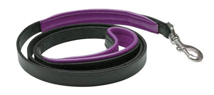 Perris Padded Leather Dog Leash