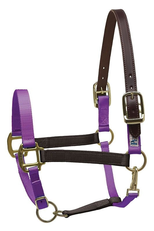 Perri's Color Vision Halter
