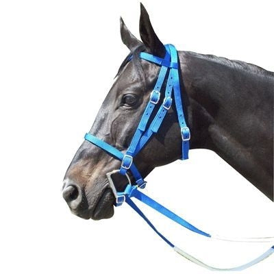 Intrepid Nylon Racing Bridle