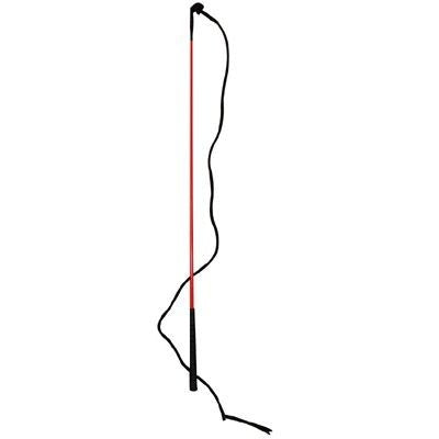 Training Stick Org