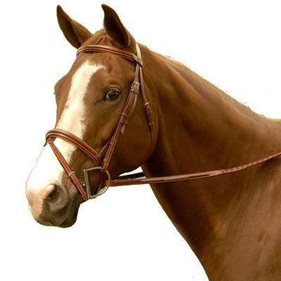 Elite Fancy Raised Padded Pony Bridle Pony Brn