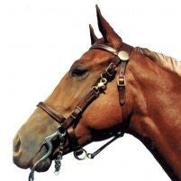 Shenandoah Trail Halter Bridle Combo Full Brn