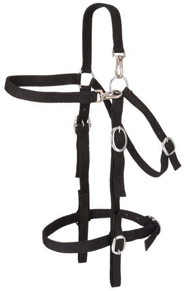 Tough1 Nylon Mule Headstall With Snap Crown Brn