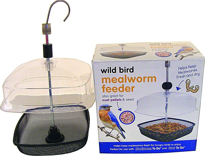 Premium Mealworm Feeder Clear/Black