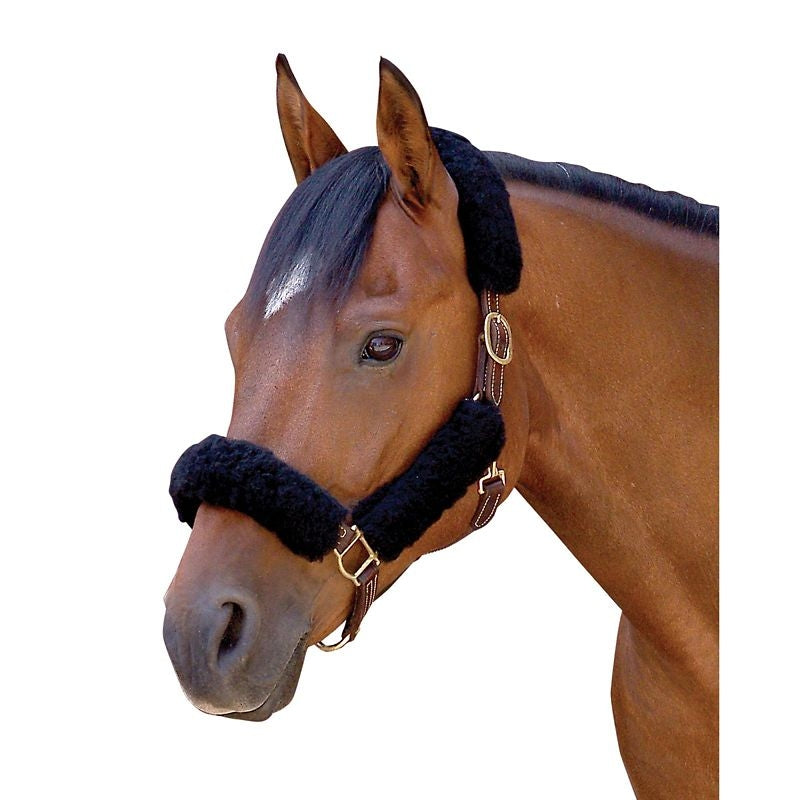 Toklat Coolback Noseband Halter Tube SetBrn