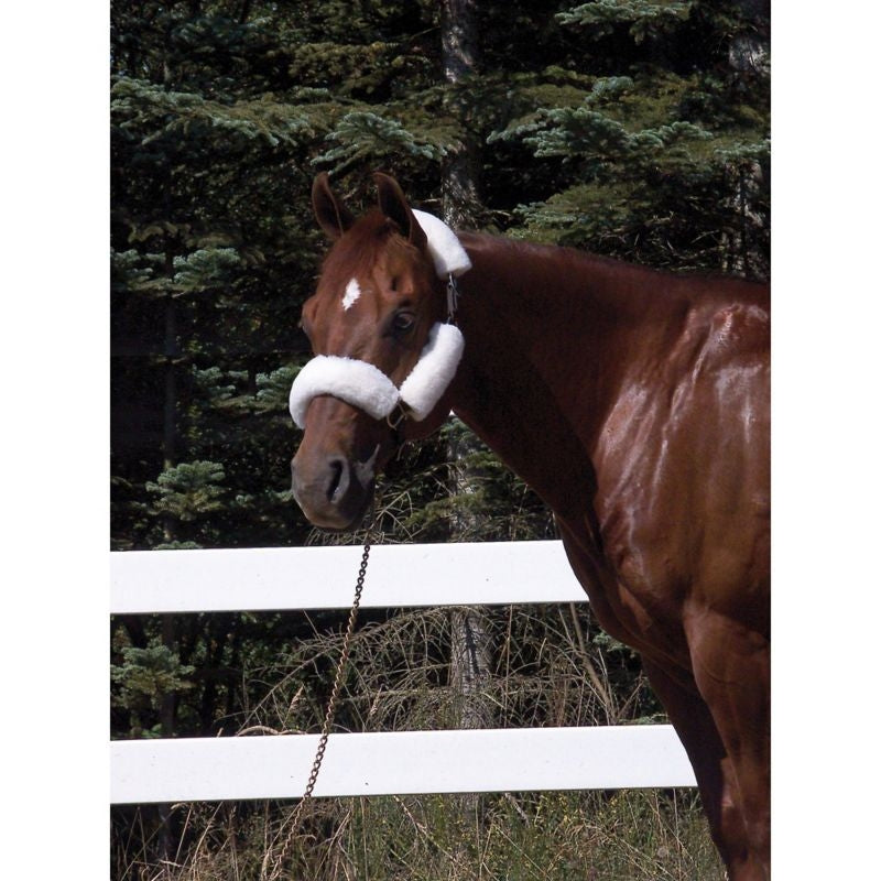 Toklat Woolback Noseband Halter Tube SetBrn