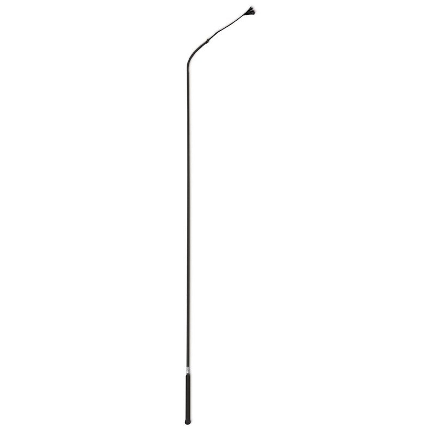 TH995258.jpg