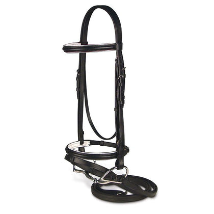 Passport Raised and Padded Bridle with Flash
