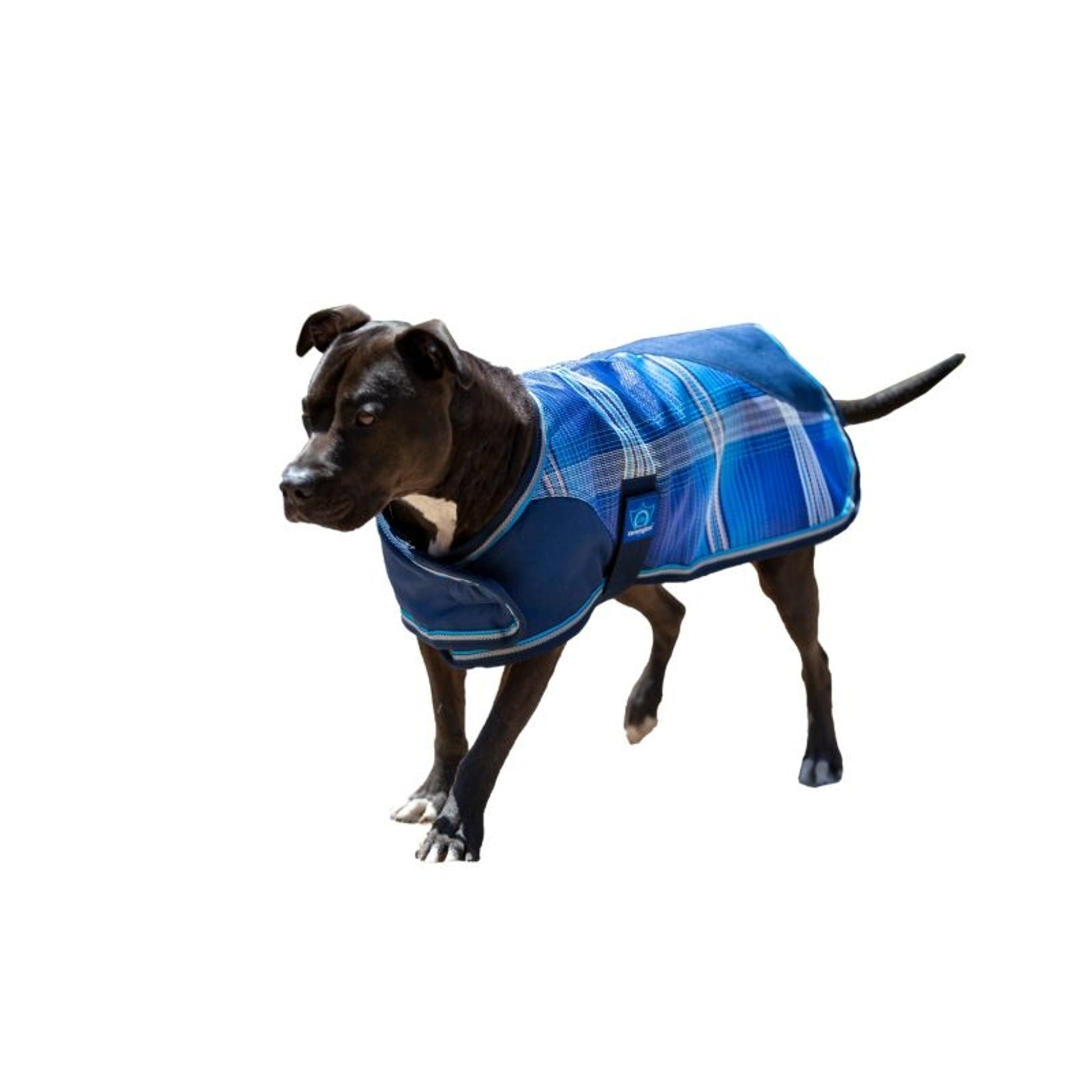 Kensington Plaid Dog Coat