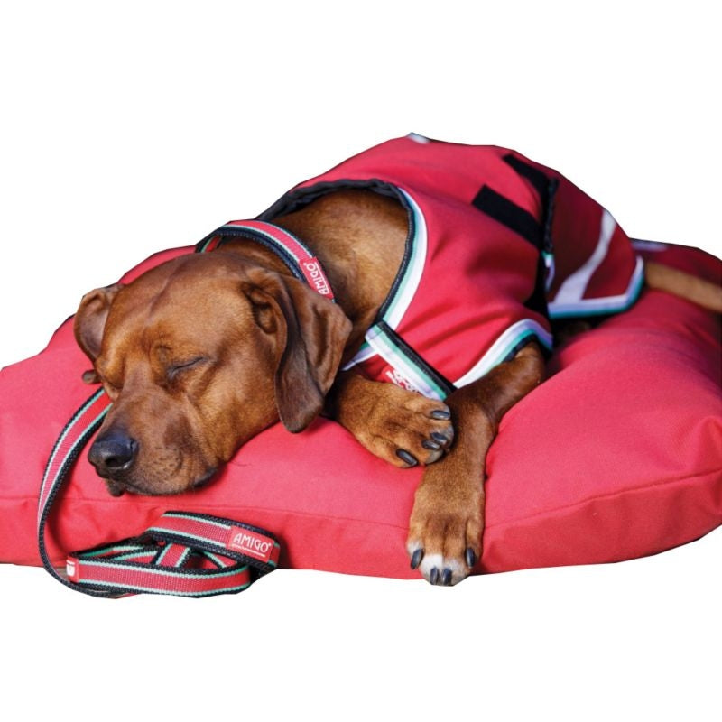 Amigo Dog Blanket 100g