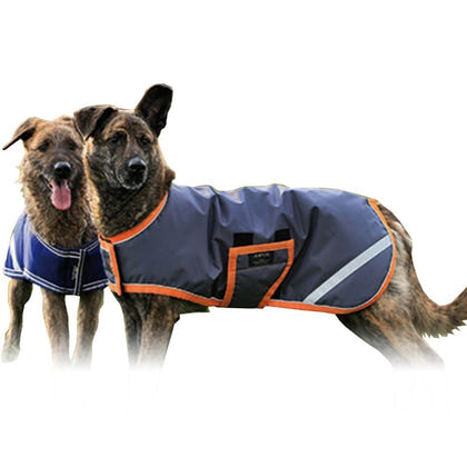 Amigo Dog Blanket 100g