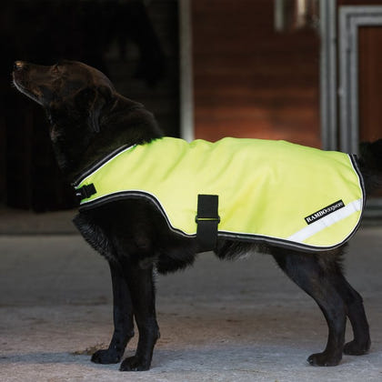 Rambo Reflective Dog Blanket
