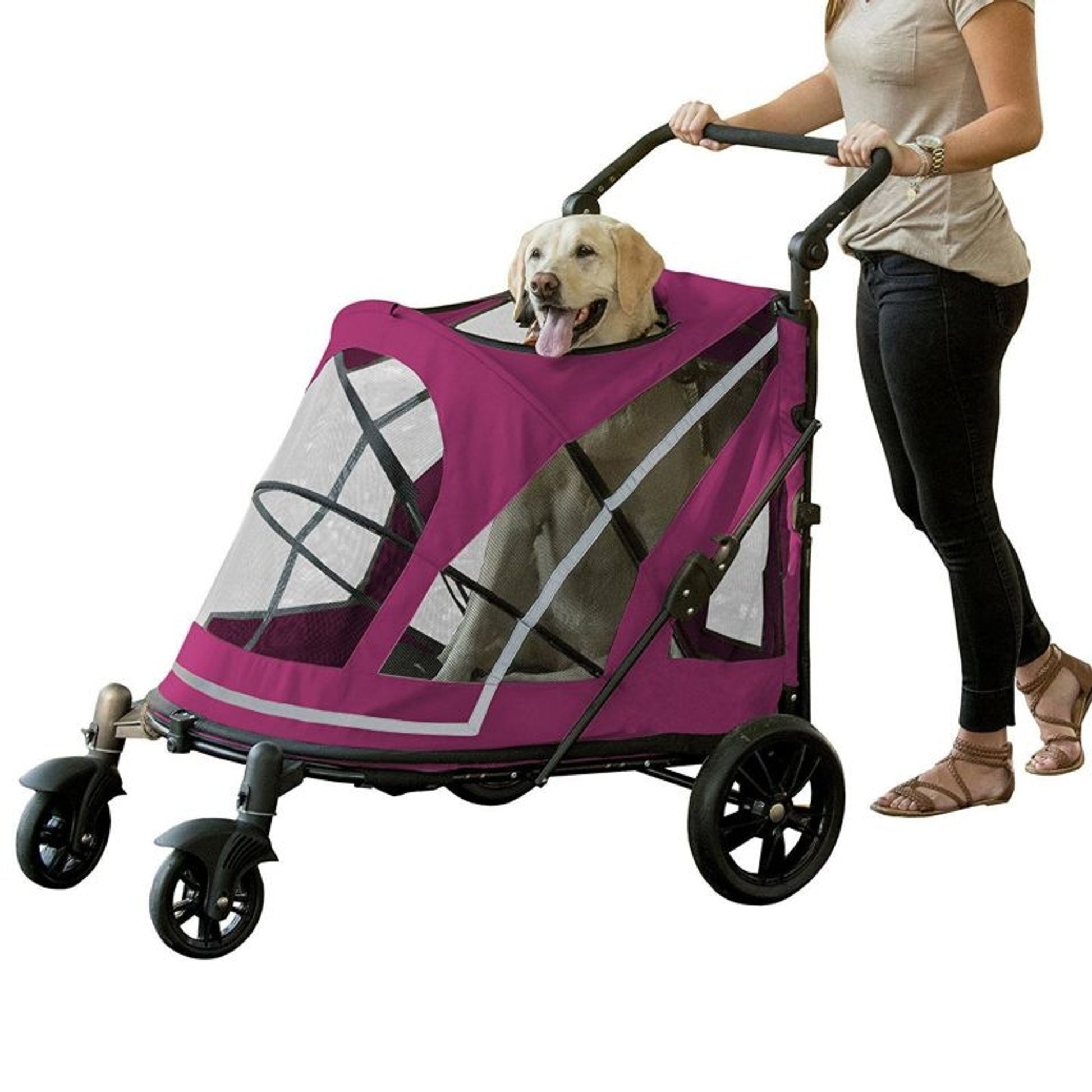 Pet Gear Expedition No Zip Stroller