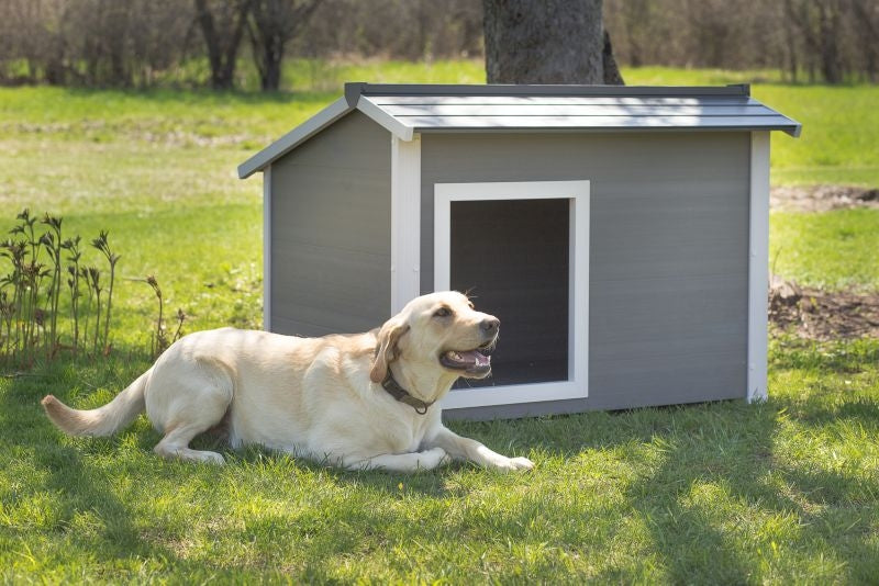 New Age Pet ecoFLEX Thermocore Grey Dog House
