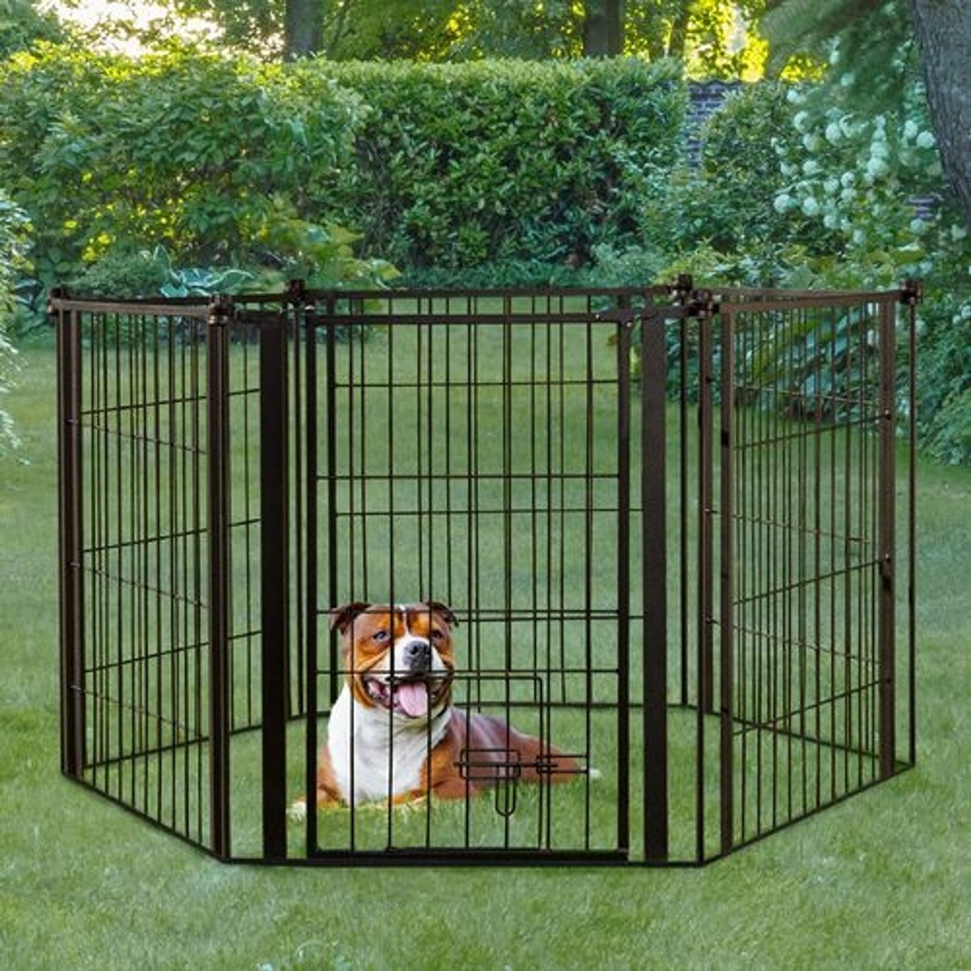 Carlson Pet Outdoor Super Pet Gate