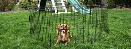 Iconic Pet Eight Panel Portable Pet Wire Pen