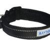 Baydog Tampa Dog Collar