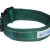 Baydog Tampa Dog Collar