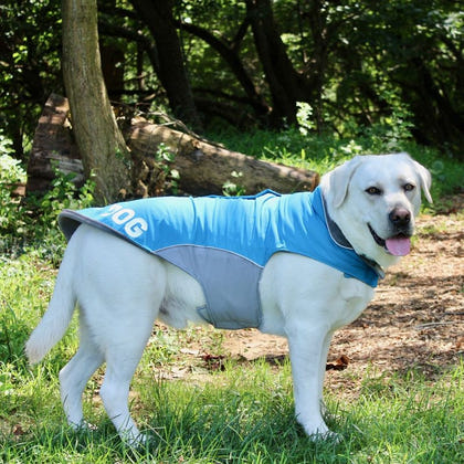 Baydog Saginaw Bay Fleece Dog Jacket