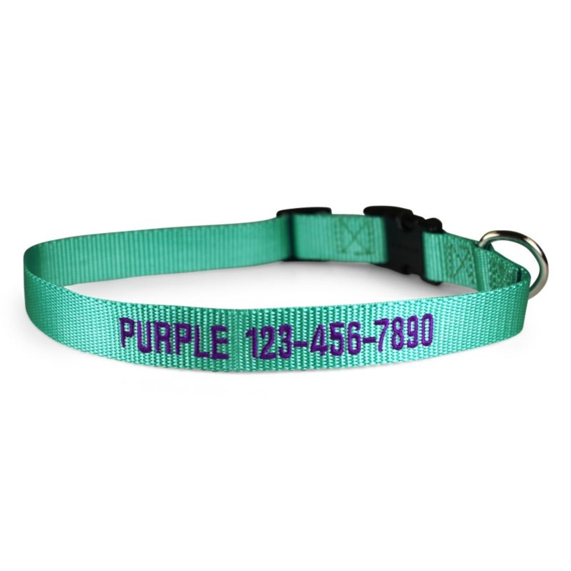 Personalized Mint Green Nylon Dog Collar