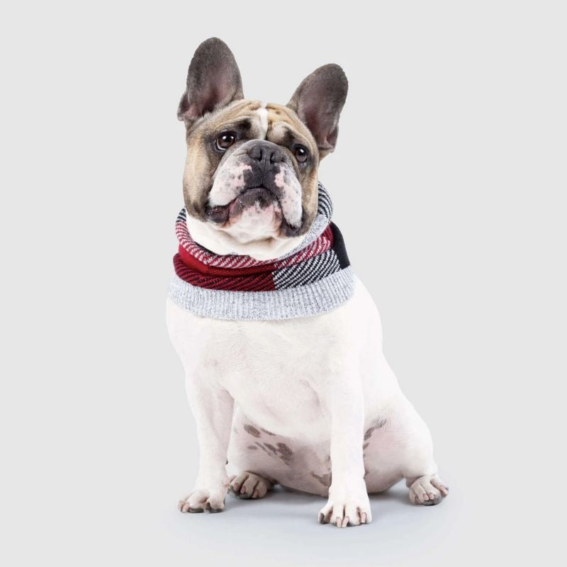 Canada Pooch Northern Knit Plaid Dog Snood