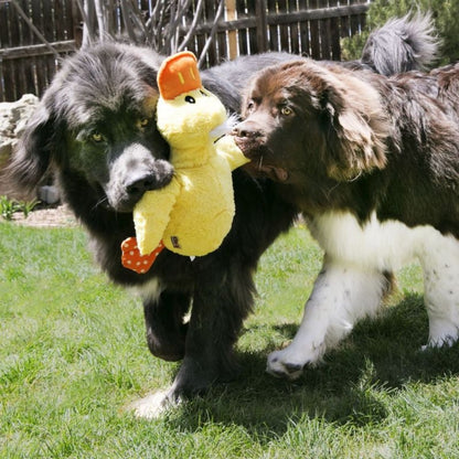 KONG Comfort Jumbo Assorted XLarge Dog Toy