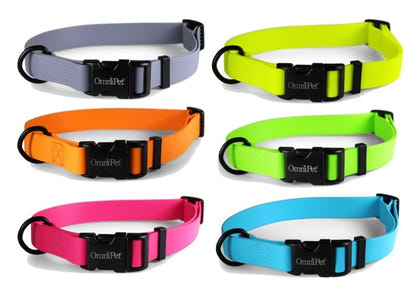 Carnival Waterproof Dog Collar