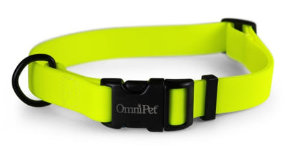 Carnival Waterproof Dog Collar