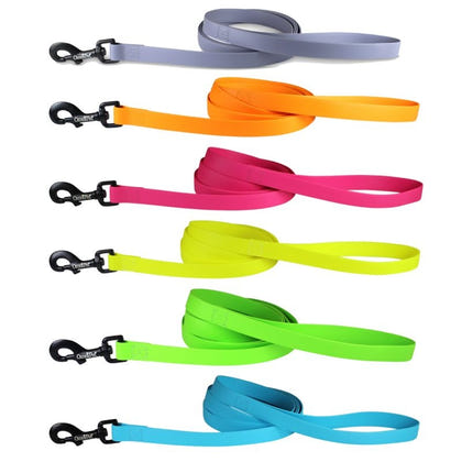 Carnival Waterproof 6ft Dog Leash