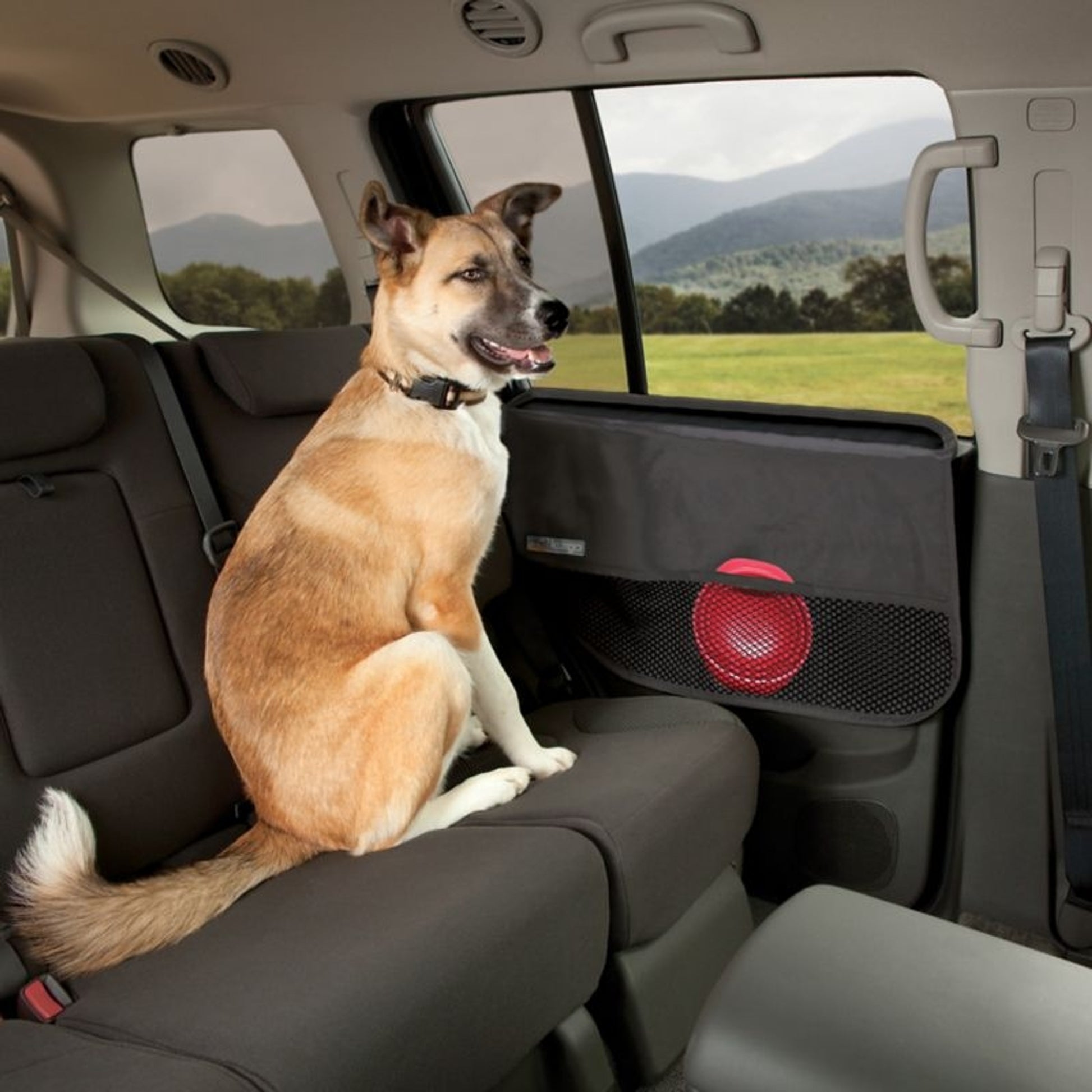 Kurgo Car Door Guard