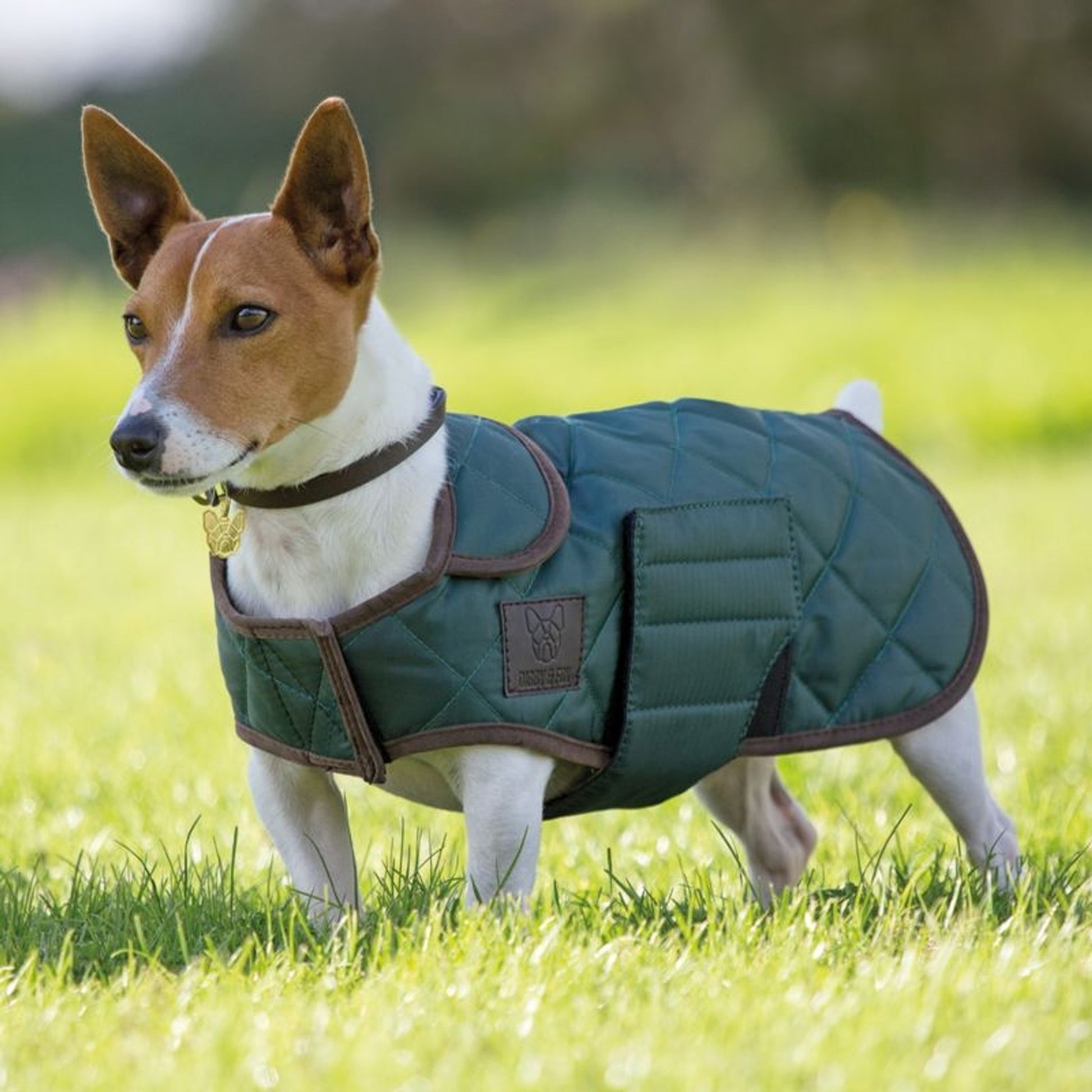 Shires Quilted Dog Coat