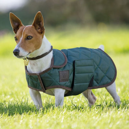 Shires Quilted Dog Coat