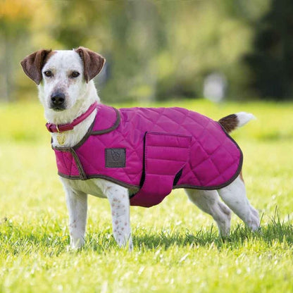 Shires Quilted Dog Coat