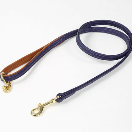 Digby and Fox Padded Leather Dog Lead