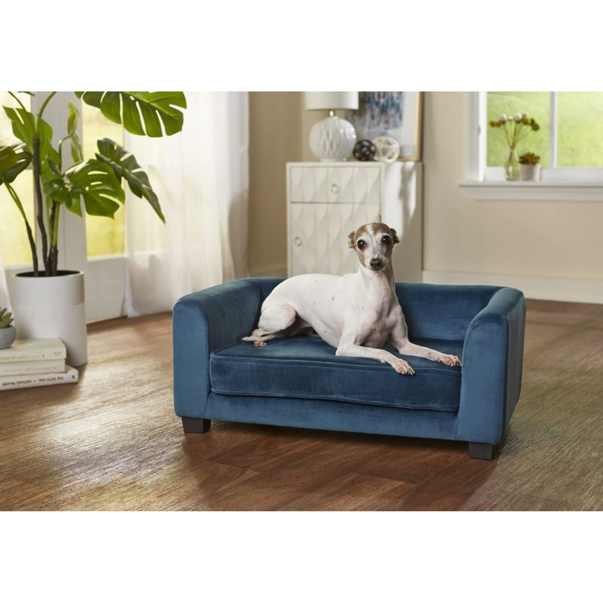 Enchanted Home Pet Surrey Peacock Pet Sofa Bed